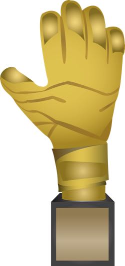 Golden Glove award